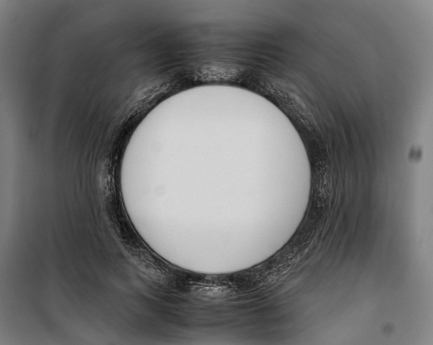 X0000099550743200806061516