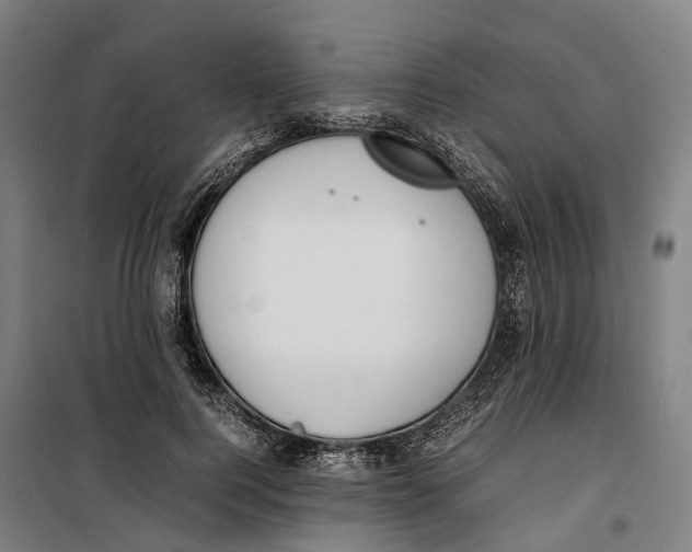 X0000099550744200806061516