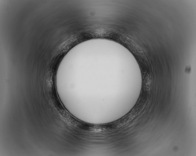 X0000099550746200806061516