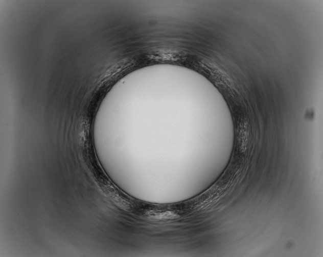 X0000099550747200806061516