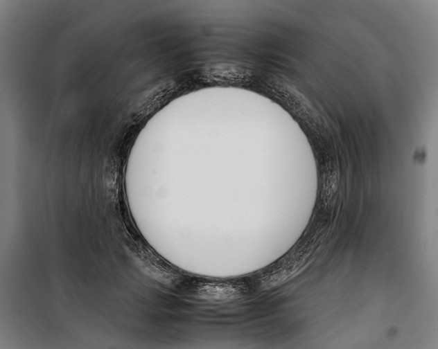 X0000099550749200806061516