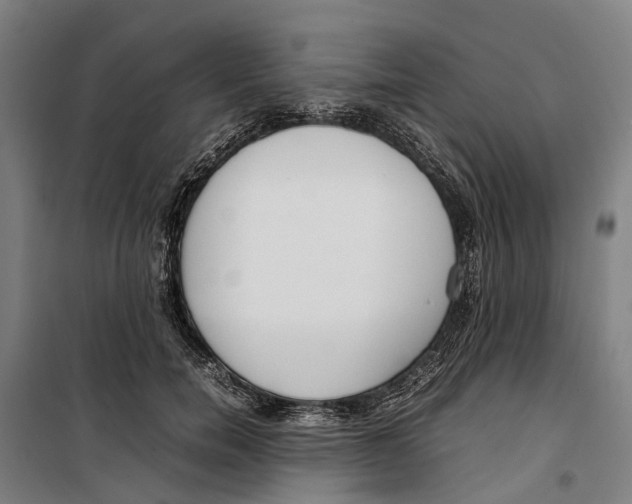 X0000099550750200806061516