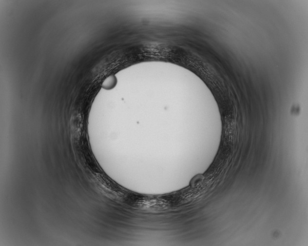 X0000099550752200806061516