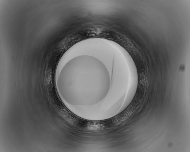 X0000099550754200806061516