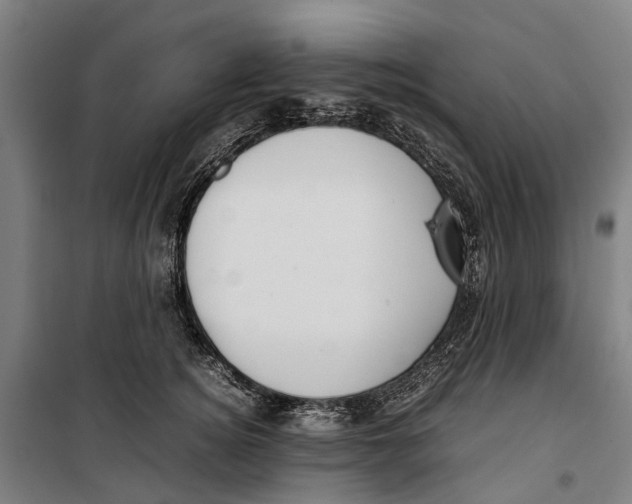 X0000099550756200806061516