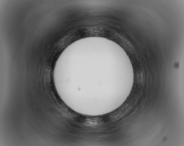 X0000099550757200806061516