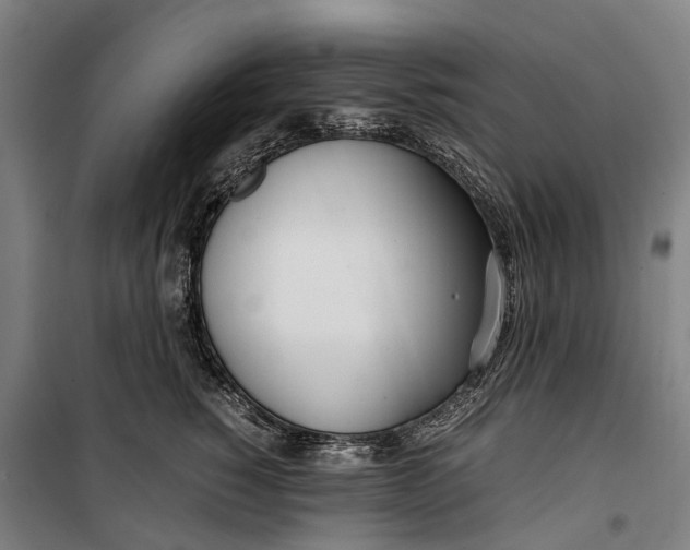 X0000099550760200806061516