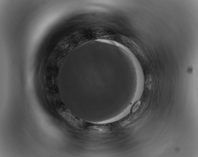 X0000099550763200806061516