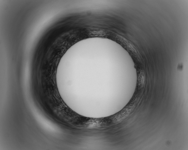 X0000099550764200806061516