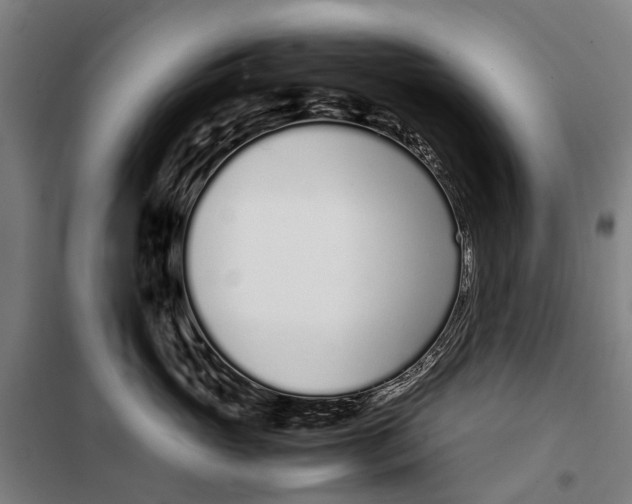 X0000099550765200806061516