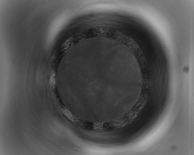 X0000099550766200806061516