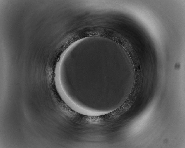 X0000099550767200806061516