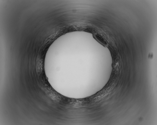 X0000099550772200806061516