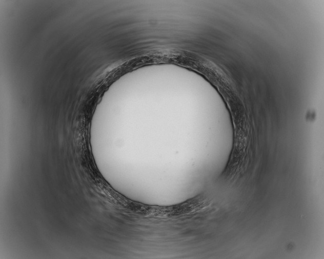 X0000099550773200806061516