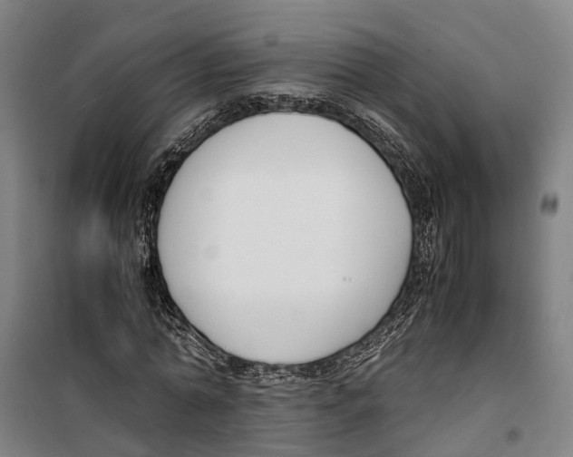 X0000099550774200806061516