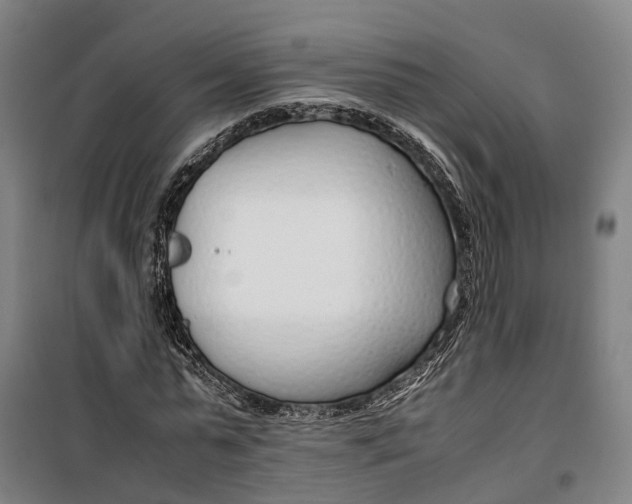 X0000099550775200806061516