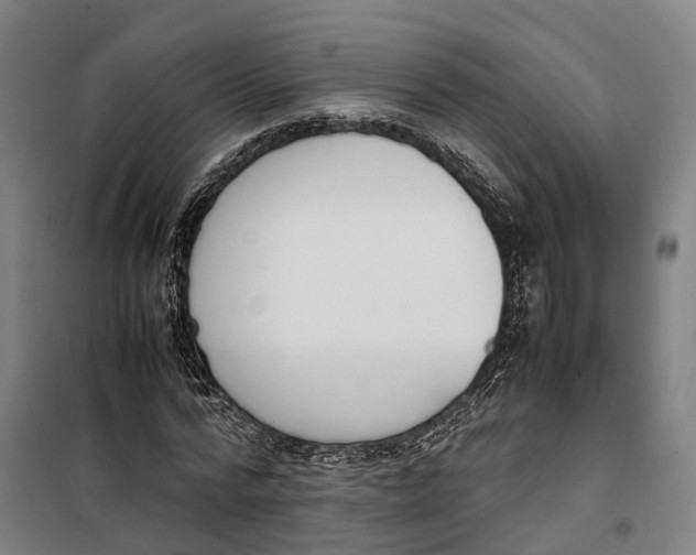 X0000099550776200806061516