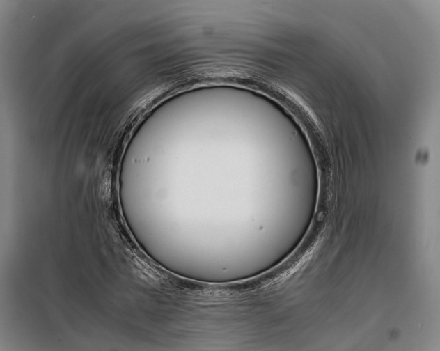 X0000099550777200806061516