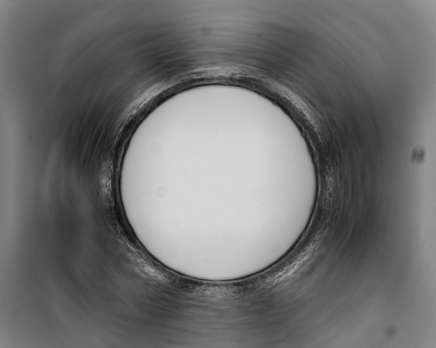 X0000099550778200806061516