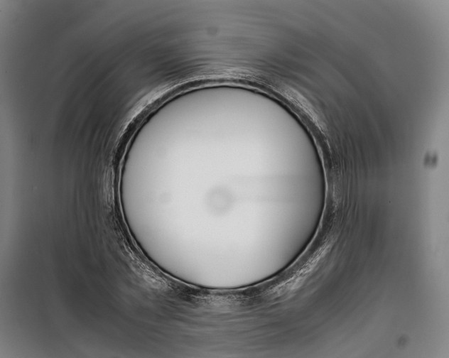 X0000099550781200806061516