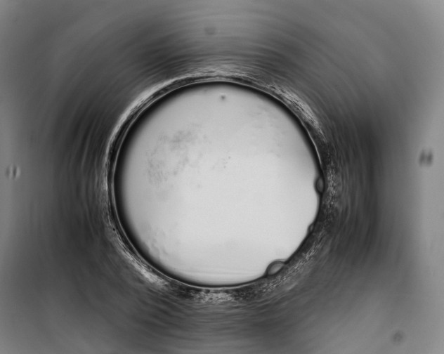 X0000099550784200806061515