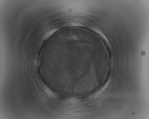 X0000099550785200806061515