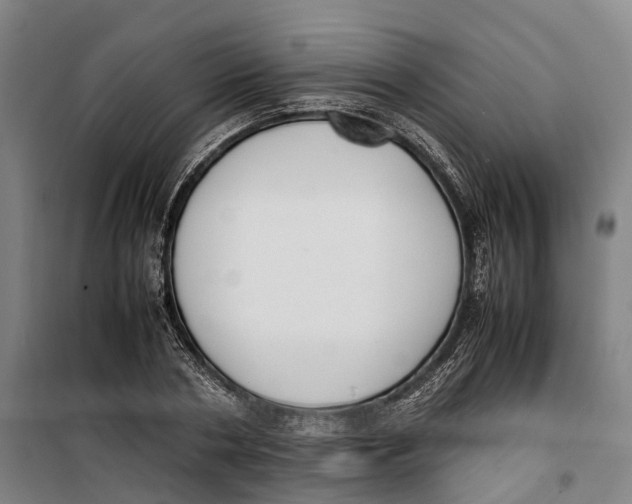 X0000099550786200806061515