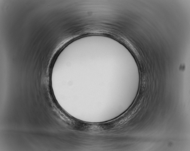 X0000099550787200806061515