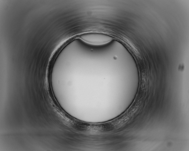 X0000099550788200806061515