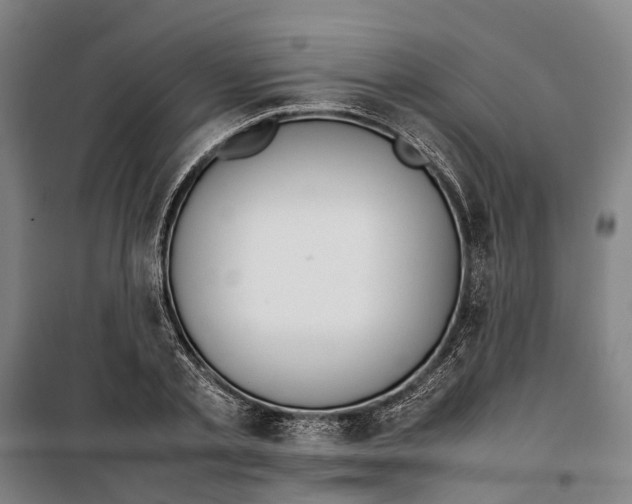 X0000099550789200806061515