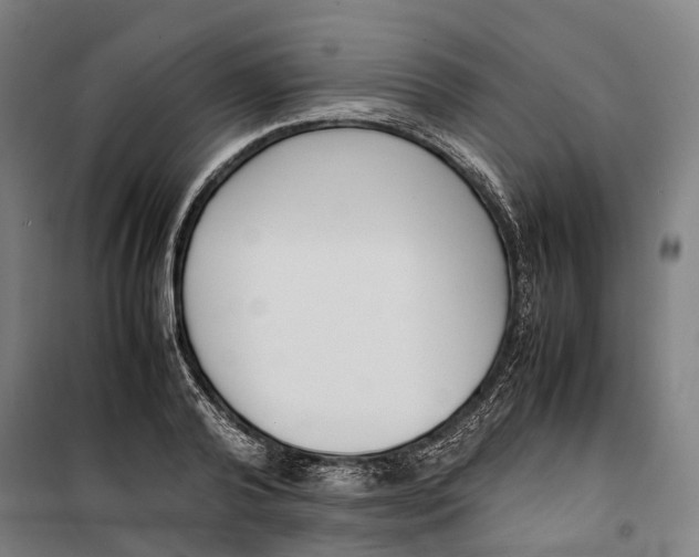 X0000099550792200806061515