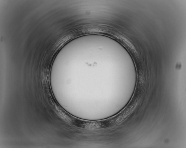 X0000099550793200806061515