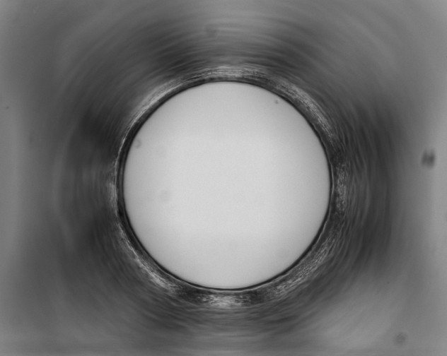 X0000099550794200806061515