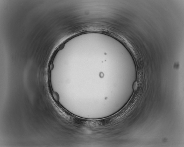 X0000099550795200806061515