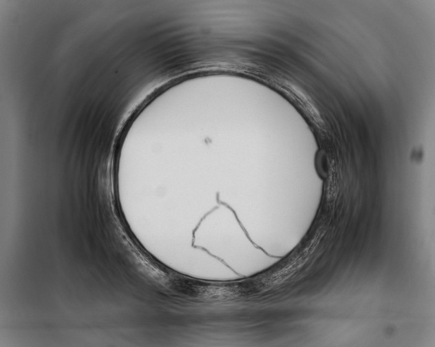 X0000099550796200806061515