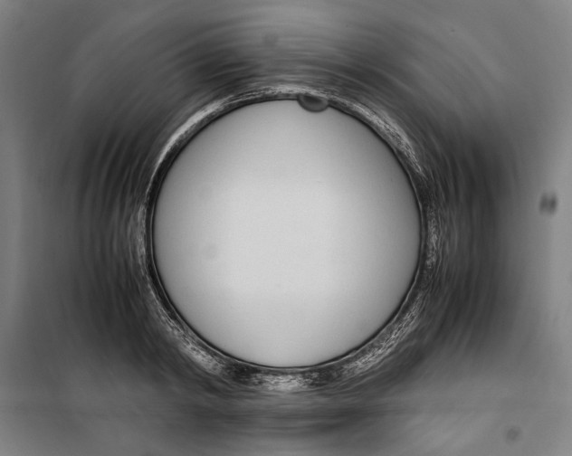 X0000099550798200806061515