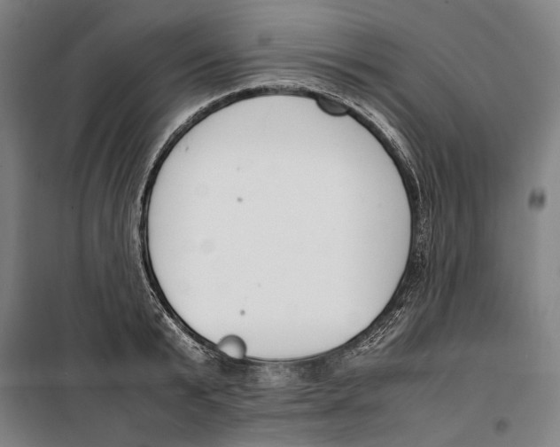 X0000099550799200806061515