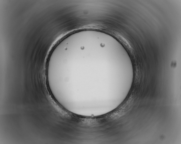 X0000099550800200806061515