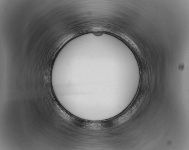 X0000099550801200806061515