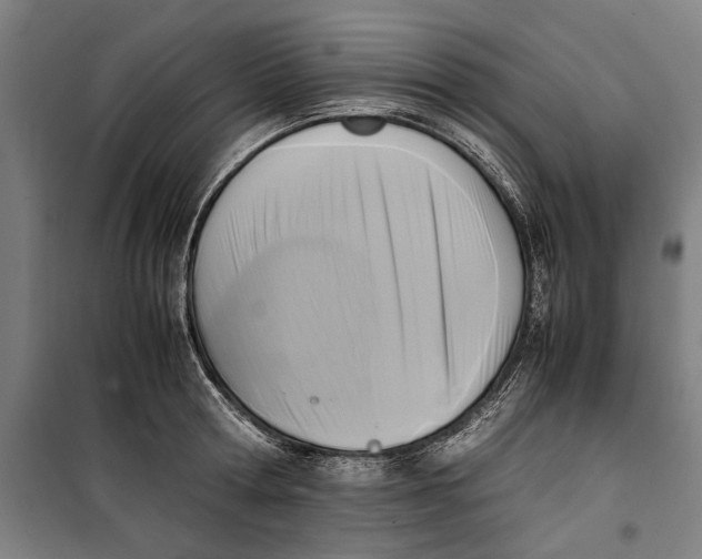 X0000099550802200806061515