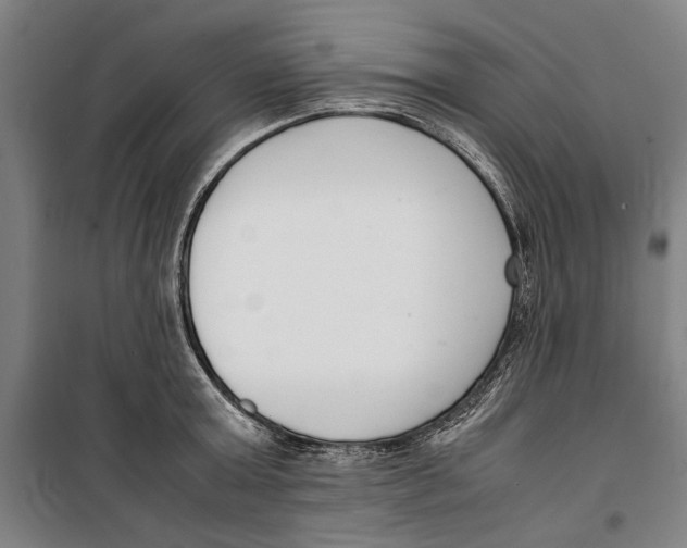 X0000099550803200806061515