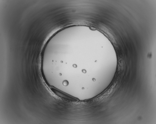 X0000099550804200806061515