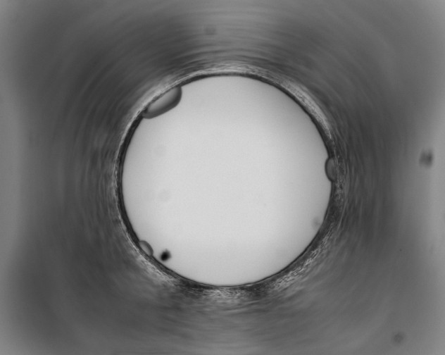 X0000099550805200806061515