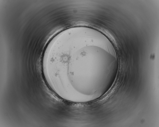 X0000099550806200806061515