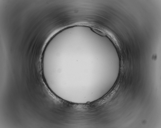 X0000099550808200806061515