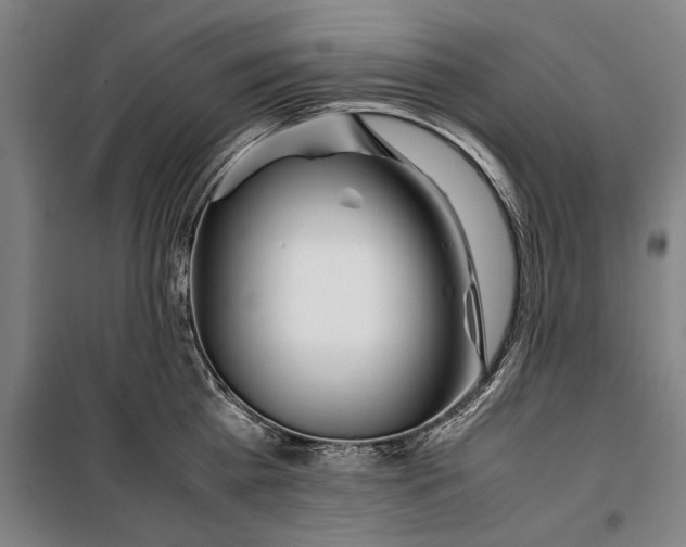 X0000099550809200806061515