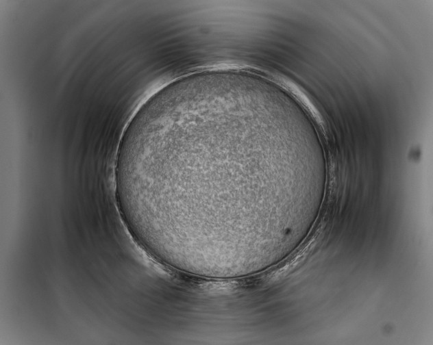 X0000099550810200806061515