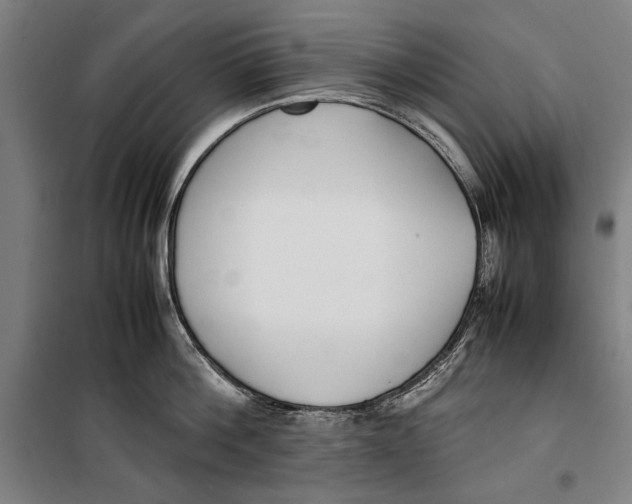 X0000099550812200806061515