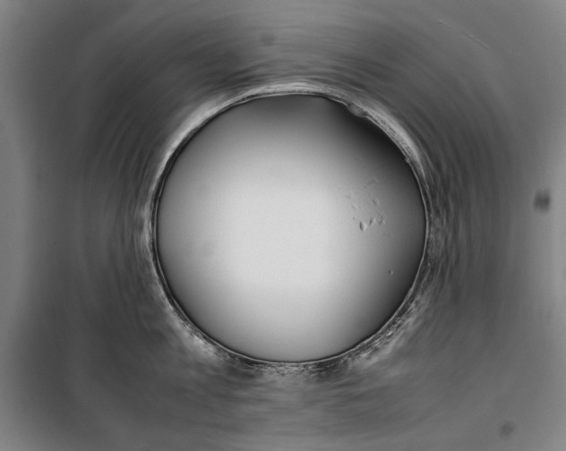 X0000099550813200806061515