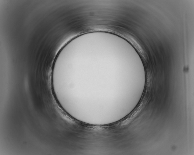 X0000099550814200806061515